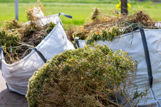 Full-Service Junk Removal in Dryden, MI