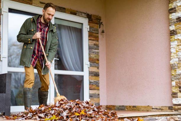 Best Dumpster Rental Services  in Dryden, MI