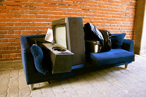 Yard Cleanup Services in Dryden, MI